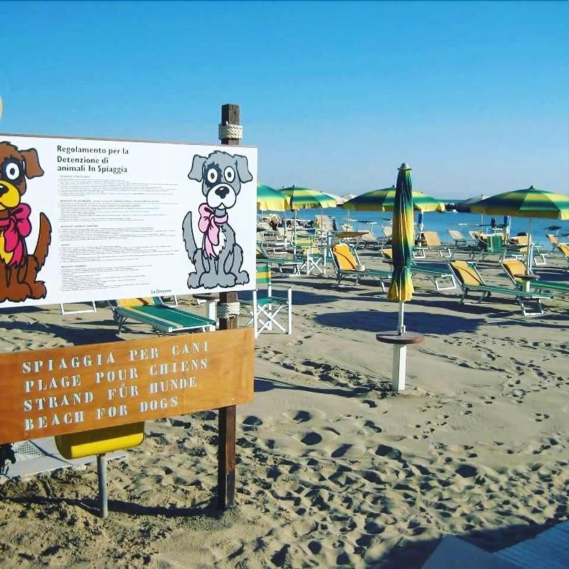 Hotel Alsen Rimini Kültér fotó
